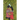 Jaya and Rasa: A Love Story