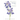 A Guide to Species Irises: Their Identification and Cultivation