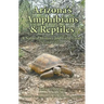 Arizona's Amphibians & Reptiles: A Natural History and Field Guide