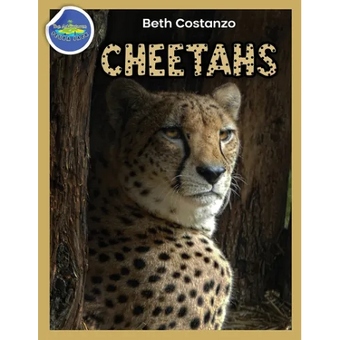 Cheetah Activity Workbook ages 4-8