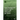 Smart Management of Conservative, Organic and Integrated Agriculture