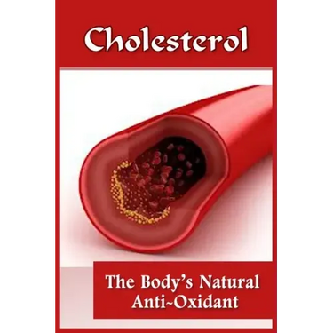 Cholesterol: The Body's Natural Anti-Oxidant Basic Introduction To Cholesterol