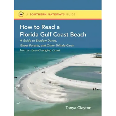 How to Read a Florida Gulf Coast Beach: A Guide to Shadow Dunes, Ghost Forests, and Other Telltale Clues from an Ever-Changing Coast