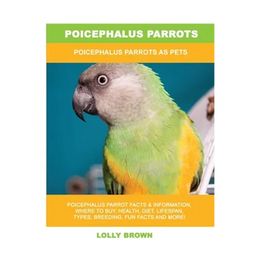 Poicephalus Parrots: Poicephalus Parrots As Pets