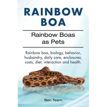 Rainbow Boa. Rainbow Boas as Pets. Rainbow boa, biology, behavior, husbandry, daily care, enclosures, costs, diet, interaction and health.