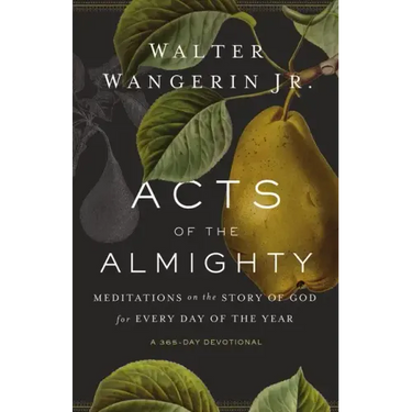 Acts of the Almighty: Meditations on the Story of God for Every Day of the Year