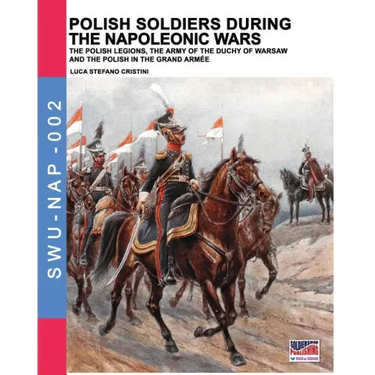 Polish soldiers during the Napoleonic wars: The Polish legions, the army of the Duchy of Warsaw and the Polish in the Grand Armée