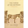 The Power of the Between: An Anthropological Odyssey