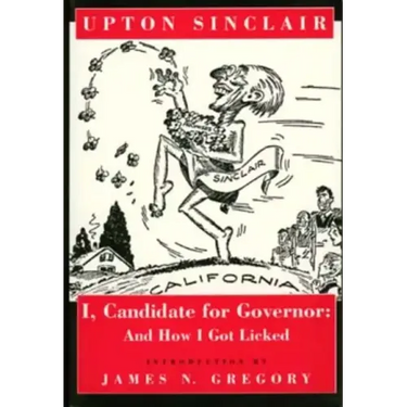 I, Candidate for Governor: And How I Got Licked