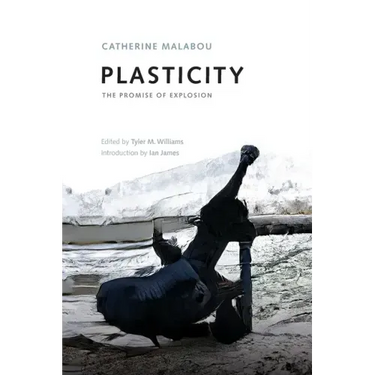 Plasticity: The Promise of Explosion