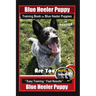 Blue Heeler Puppy Training Book for Blue Heeler Puppies By BoneUP DOG Training: Are You Ready to Bone Up? Easy Steps * Fast Results Blue Heeler Puppy