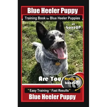 Blue Heeler Puppy Training Book for Blue Heeler Puppies By BoneUP DOG Training: Are You Ready to Bone Up? Easy Steps * Fast Results Blue Heeler Puppy