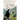 Lens of the World