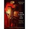 The Labor of Job: The Biblical Text as a Parable of Human Labor