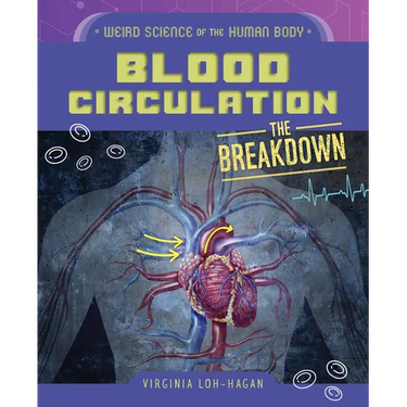 Blood Circulation