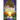 The Beginning