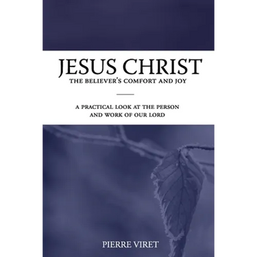 Jesus Christ the Believer's Comfort and Joy: A practical look at the person and work of our Lord