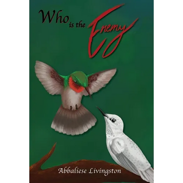 Who is the Enemy