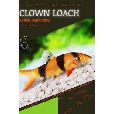 Clown Loach: From Novice to Expert. Comprehensive Aquarium Fish Guide