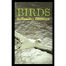 Birds: Modern-Day Dinosaurs