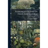 Poisonous Plants In Field And Garden