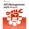 API Management with Bruno: Postman's Super-Alternative to Build, Test and Deploy APIs in Multi-Cloud Environment