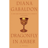 Dragonfly in Amber