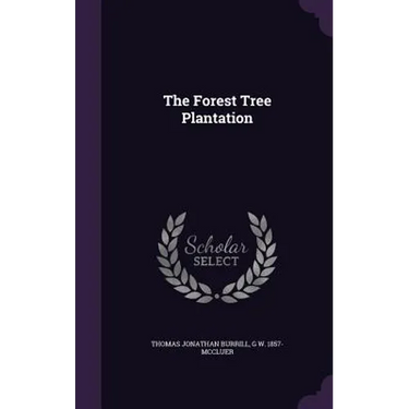 The Forest Tree Plantation