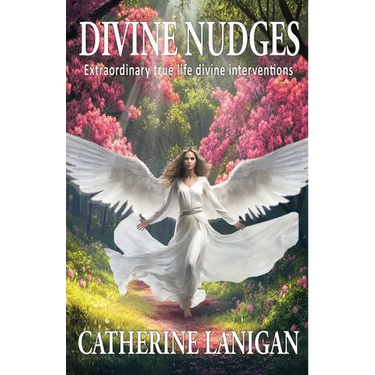Divine Nudges