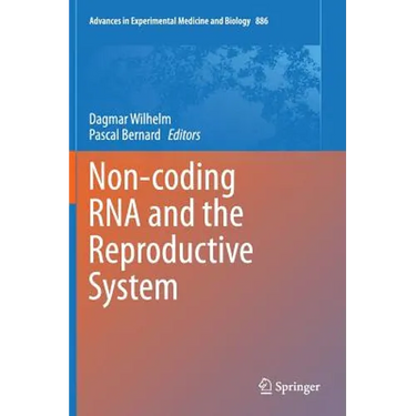 Non-Coding RNA and the Reproductive System