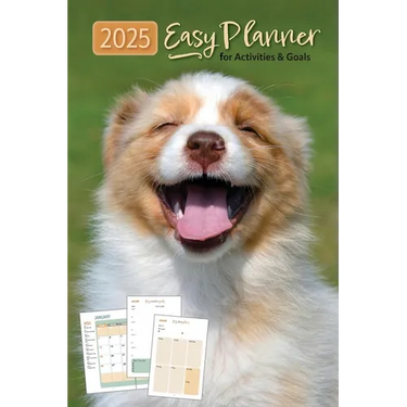 2025 Easy Planner for Activities and Goals