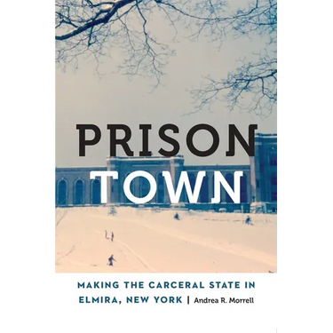 Prison Town: Making the Carceral State in Elmira, New York