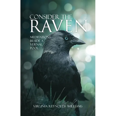 Consider The Raven: Meditations Beside a Vernal Pool