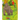 Jungle Animals Coloring Book 1
