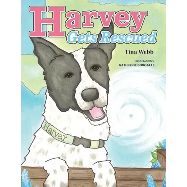Harvey Gets Rescued