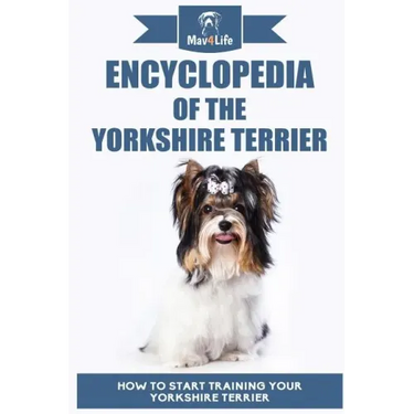 Encyclopedia of the Yorkshire Terrier: How to Start Training Your Yorkshire Terrier