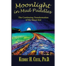 Moonlight in Mud Puddles: The Continuing Transformation of the Street Kid