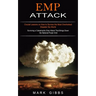 Emp Attack: Crucial Lessons on How to Survive the Most Overlooked Disaster the World (Surviving a Catastrophic Emp Attack That Brings Down the Nationa