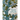 Trees of Life