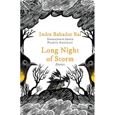 Long Night of Storm: Stories