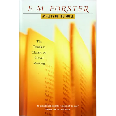 Aspects of the Novel