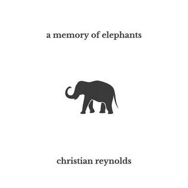 A memory of elephants