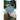 Meridian Hill: A History