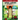 Word Ladders for Grades K - 1: 80 Vocabulary building word puzzles to enhance reading and writing skills in early learners Word ladder for Kindergart