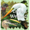Life In A Wetland