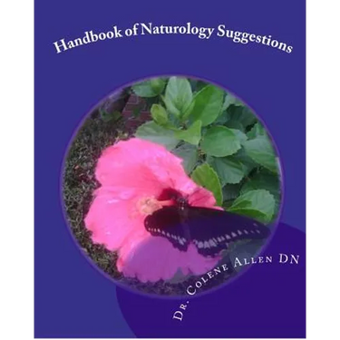 Handbook of Naturology Suggestions: Beginning One's Natural Healing Journey Natural Alternative Guidelines
