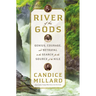River of the Gods: Genius, Courage, and Betrayal in the Search for the Source of the Nile
