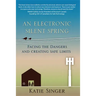An Electronic Silent Spring: Facing the Dangers and Creating Safe Limits