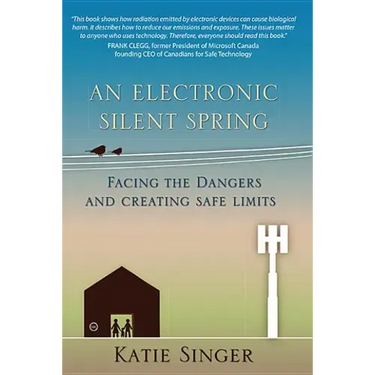 An Electronic Silent Spring: Facing the Dangers and Creating Safe Limits