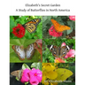 Elizabeth's Secret Garden: A Study of Butterflies in North America - 2nd edition